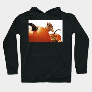 Thanks!...for Giving! Hoodie